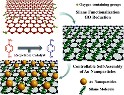 Graphical abstract: Self-assembly of Au nanoparticles on graphene sheets as a catalyst with controlled grafting density and high reusability