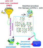 Graphical abstract: Immobilised peroxidases from Asparagus acutifolius L. seeds for olive mill waste water treatment