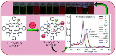 Graphical abstract: Colorimetric “naked eye” detection of CN−, F−, CH3COO− and H2PO4− ions by highly nonplanar electron deficient perhaloporphyrins