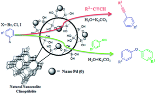 Graphical abstract: Palladium nanoparticles supported on natural nanozeolite clinoptilolite as a catalyst for ligand and copper-free C–C and C–O cross coupling reactions in aqueous medium