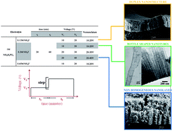 Graphical abstract: TiO2 nanotubes with tunable morphologies