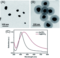 Graphical abstract: Wavenumber–intensity joint SERS encoding using silver nanoparticles for tumor cell targeting