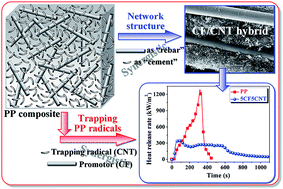 Graphical abstract: Synergistic effect of carbon fibers and carbon nanotubes on improving thermal stability and flame retardancy of polypropylene: a combination of a physical network and chemical crosslinking