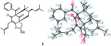 Graphical abstract: Hyperattenins A–I, bioactive polyprenylated acylphloroglucinols from Hypericum attenuatum Choisy