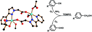 Graphical abstract: An efficient approach to the ammoxidation of alcohols to nitriles and the aerobic oxidation of alcohols to aldehydes in water using Cu(ii)/pypzacac complexes as catalysts