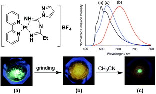 Graphical abstract: Highly luminescent imidoylamidinato platinum(ii) complexes formed by the coupling of 1H-pyrazole-1-carboxamidine with nitriles used as reaction solvents