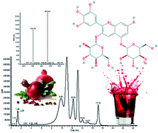Graphical abstract: Antiradical–antimicrobial activity and phenolic profile of pomegranate (Punica granatum L.) juices from different cultivars: a comparative study