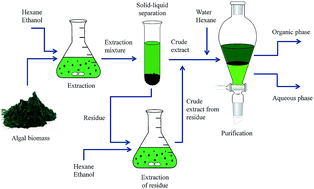 Graphical abstract: Experimental study and thermodynamic modeling for purification of extracted algal lipids using an organic/aqueous two-phase system