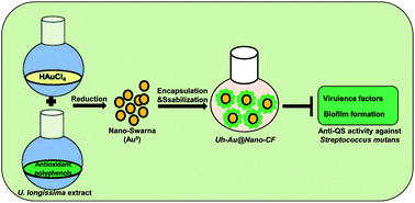Graphical abstract: Development and characterization of a novel Swarna-based herbo-metallic colloidal nano-formulation – inhibitor of Streptococcus mutans quorum sensing