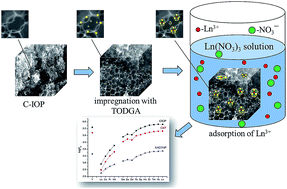 Graphical abstract: A novel sorbent for lanthanide adsorption based on tetraoctyldiglycolamide, modified carbon inverse opals