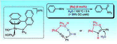 Graphical abstract: Investigation of binap-based hydroxyphosphine arene–ruthenium(ii) complexes as catalysts for nitrile hydration