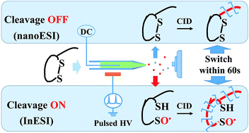 Graphical abstract: Increased disulfide peptide sequence coverage via “cleavage ON/OFF” switch during nanoelectrospray