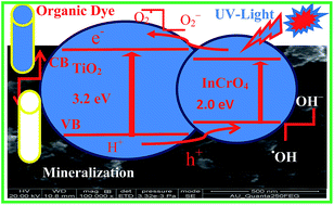 Graphical abstract: Advanced construction of heterostructured InCrO4–TiO2 and its dual properties of greater UV-photocatalytic and antibacterial activity