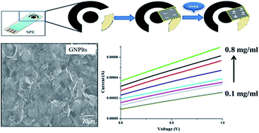 Graphical abstract: Amperometric sensing of urea using edge activated graphene nanoplatelets