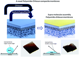 Graphical abstract: A novel high-flux, thin-film composite reverse osmosis membrane modified by chitosan for advanced water treatment