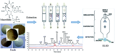 Graphical abstract: Simultaneous determination of ten macrolides drugs in feeds by high performance liquid chromatography with evaporation light scattering detection