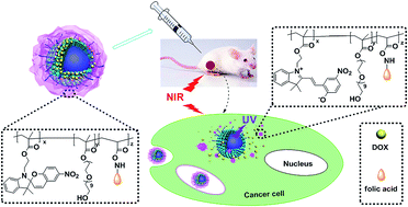 Graphical abstract: Near-infrared light-controlled drug release and cancer therapy with polymer-caged upconversion nanoparticles
