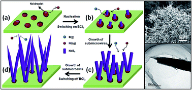 Graphical abstract: Synthesis of single-crystalline NdB6 submicroawls via a simple flux-controlled self-catalyzed method