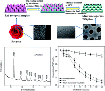 Graphical abstract: Bio-templated synthesis of hierarchically ordered macro-mesoporous anatase titanium dioxide flakes with high photocatalytic activity