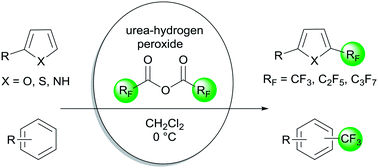 Graphical abstract: Metal-free radical perfluoroalkylation of (hetero)arenes