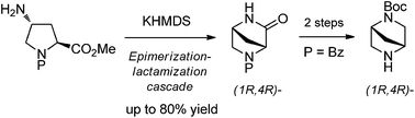 Graphical abstract: Synthesis of (1R,4R)-2,5-diazabicyclo[2.2.1]heptane derivatives by an epimerization–lactamization cascade reaction