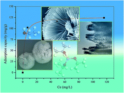 Graphical abstract: Template-free synthesis of 3D hierarchical amorphous aluminum oxide microspheres with broccoli-like structure and their application in fluoride removal