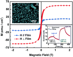Graphical abstract: Magnetic anisotropy and deep ultraviolet photoresponse characteristics in Ga2O3:Cr vermicular nanowire thin film nanostructure