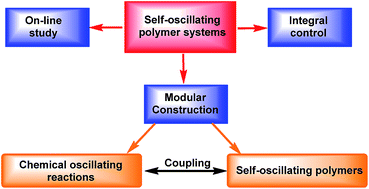 Graphical abstract: A modular approach to self-oscillating polymer systems driven by the Belousov–Zhabotinsky reaction