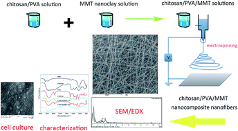 Graphical abstract: Nanoclay-reinforced electrospun chitosan/PVA nanocomposite nanofibers for biomedical applications