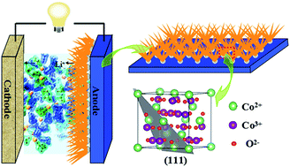 Graphical abstract: Ni-enhanced Co3O4 nanoarrays grown in situ on a Cu substrate as integrated anode materials for high-performance Li-ion batteries