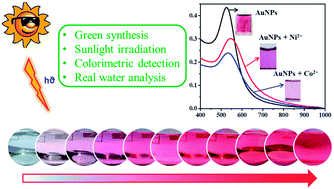 Graphical abstract: Green synthesis of gold nanoparticles under sunlight irradiation and their colorimetric detection of Ni2+ and Co2+ ions