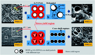 Graphical abstract: Tailoring the impact behavior of polyamide 6 ternary blends via a hierarchical core–shell structure in situ formed in melt mixing