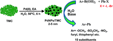 Graphical abstract: Palladium nanoparticles embedded on thiourea-modified chitosan: a green and sustainable heterogeneous catalyst for the Suzuki reaction in water