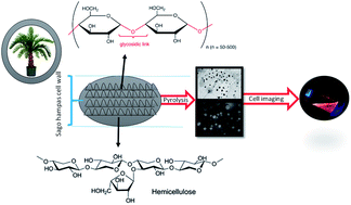 Graphical abstract: Catalyst-free synthesis of carbon nanospheres for potential biomedical applications: waste to wealth approach