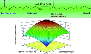 Graphical abstract: Process optimization by response surface methodology for transesterification of renewable ethyl acetate to butyl acetate biofuel additive over borated USY zeolite