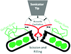 Graphical abstract: Sonication-induced effects on carbon nanofibres in composite materials