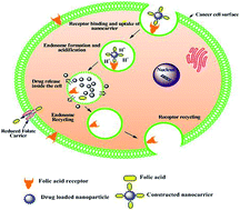 Potential in vitro and in vivo colon specific anticancer 