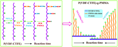 Graphical abstract: Influence of less active initiator on the living performance of atom transfer radical polymerization and the structure of the synthesized grafted copolymer