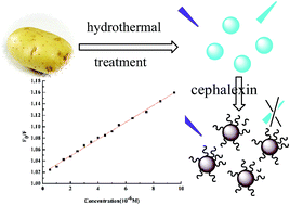 Graphical abstract: One-step synthesis of carbon nanodots for sensitive detection of cephalexin