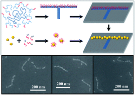 Graphical abstract: Optimizing gold nanoparticle seeding density on DNA origami