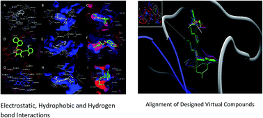 Graphical abstract: In silico de novo design of novel NNRTIs: a bio-molecular modelling approach