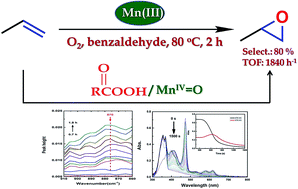 Graphical abstract: Direct aerobic liquid phase epoxidation of propylene catalyzed by Mn(iii) porphyrin under mild conditions: evidence for the existence of both peroxide and Mn(iv)-oxo species from in situ characterizations