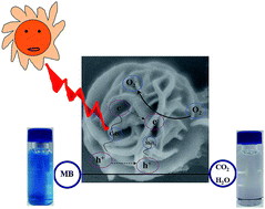 Graphical abstract: One-step hydrothermal synthesis of flowerlike MoS2/CdS heterostructures for enhanced visible-light photocatalytic activities