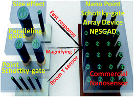 Graphical abstract: A nanopoint Schottky-gate array device: surface defect application and molecular detection