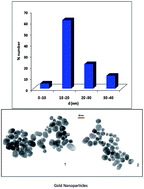 Graphical abstract: Safranin and cysteine capped gold nanoparticles: spectroscopic qualitative and quantitative studies