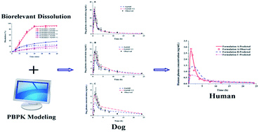 Graphical abstract: Interspecies prediction of oral pharmacokinetics of different lacidipine formulations from dogs to human: physiologically based pharmacokinetic modelling combined with biorelevant dissolution