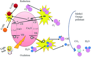 Graphical abstract: XANES, EXAFS and photocatalytic investigations on copper oxide nanoparticles and nanocomposites
