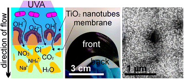 Graphical abstract: Photocatalytic degradation and toxicity evaluation of diclofenac by nanotubular titanium dioxide–PES membrane in a static and continuous setup