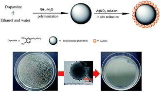 Graphical abstract: Facile synthesis of novel size-controlled antibacterial hybrid spheres using silver nanoparticles loaded with poly-dopamine spheres