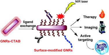 Graphical abstract: Surface modifications of gold nanorods for applications in nanomedicine